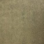 LL LEGUAN Gold - Image 6